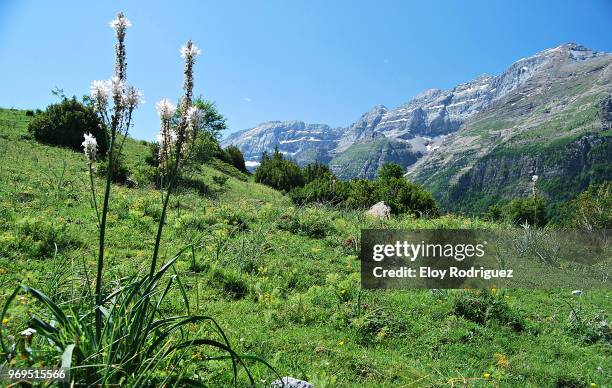 valle de pineta - parco nazionale di ordesa foto e immagini stock