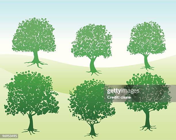 summer,spring green nature view with trees silhouette illustration - central park summer stock illustrations