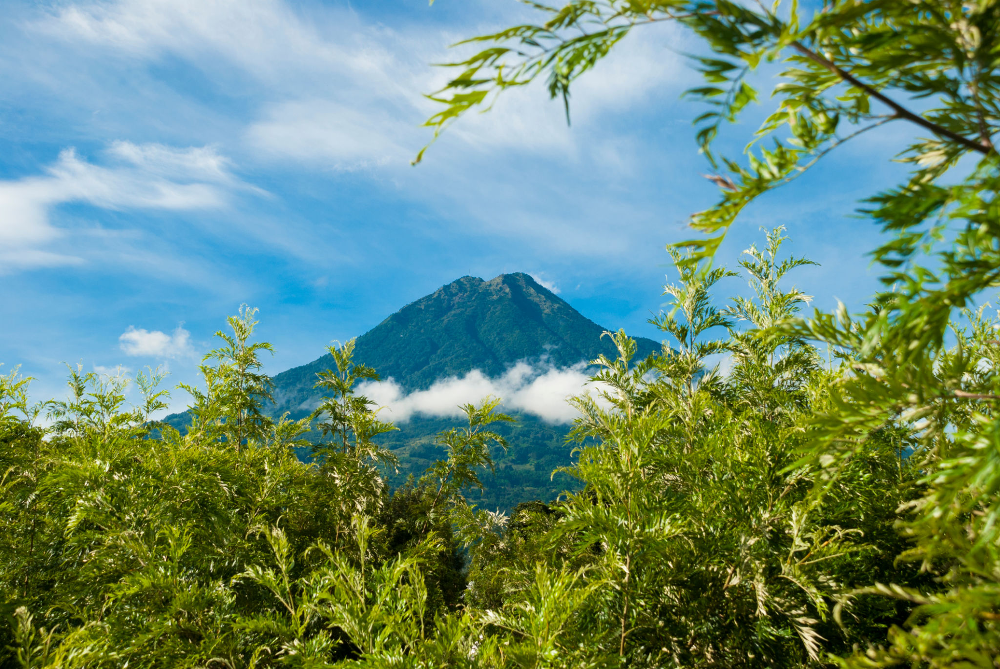antigua adventure