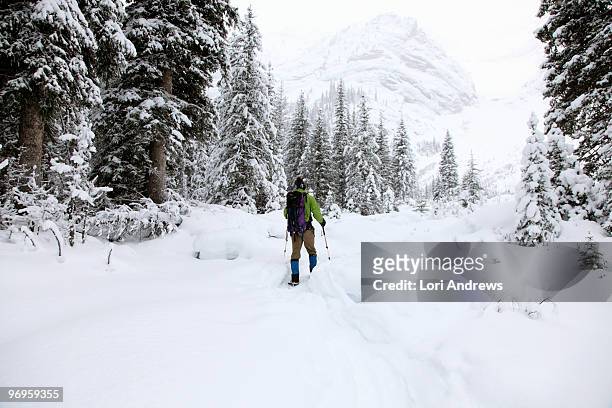 mountain back country in winter - lori andrews stock-fotos und bilder