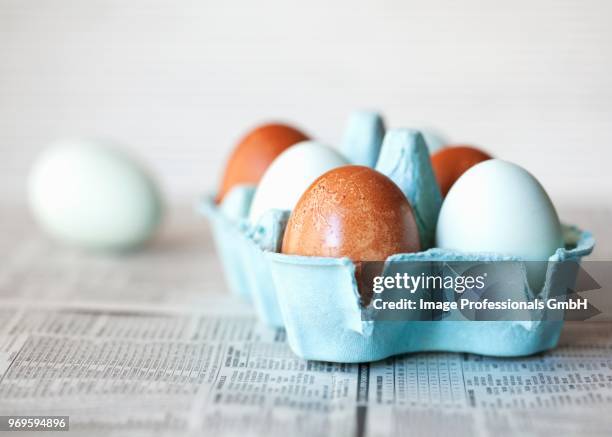 a box of brown and pastel blue eggs - araucana chicken bildbanksfoton och bilder