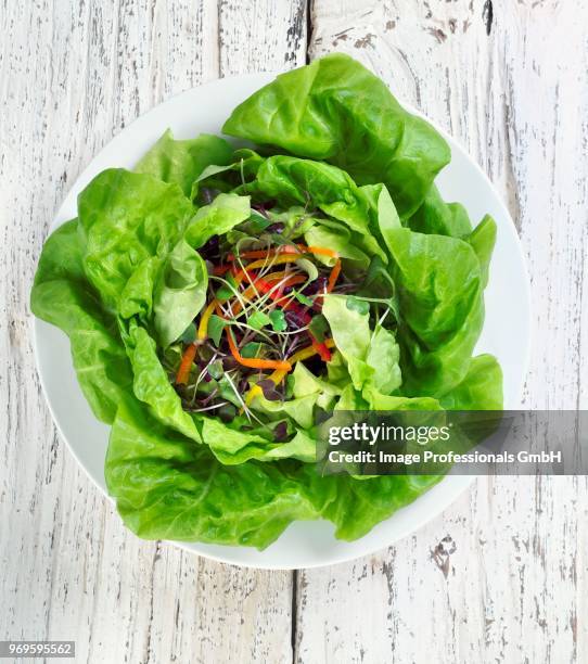 salad on a white plate; on a wooden table; from above - kopfsalat stock-fotos und bilder