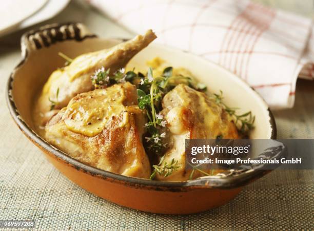 rabbit with mustard sauce - mustard sauce stock pictures, royalty-free photos & images