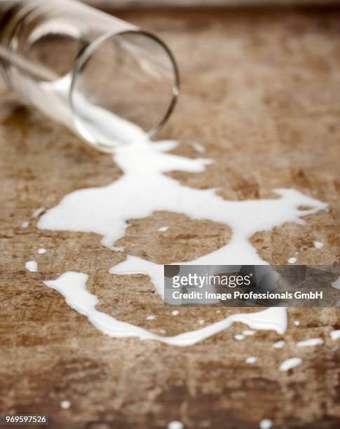 spilt glass of milk - spilt milk stock-fotos und bilder