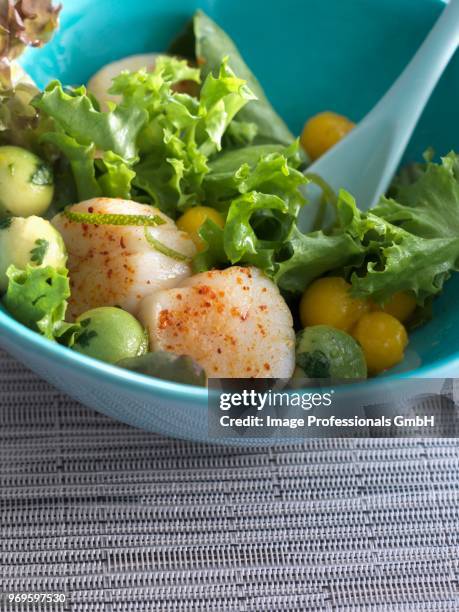 scallop,mango and avocado salad - mango stock pictures, royalty-free photos & images