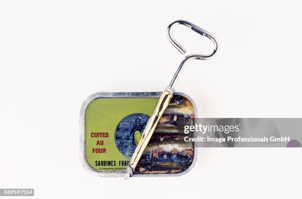 can of sardines - can opener stock pictures, royalty-free photos & images