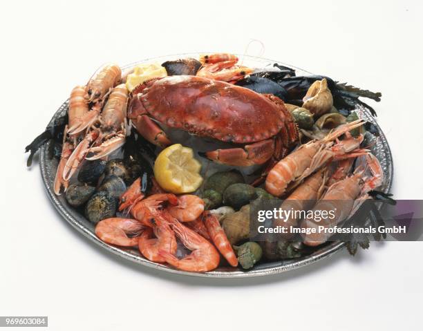 seafood platter - seafood platter foto e immagini stock