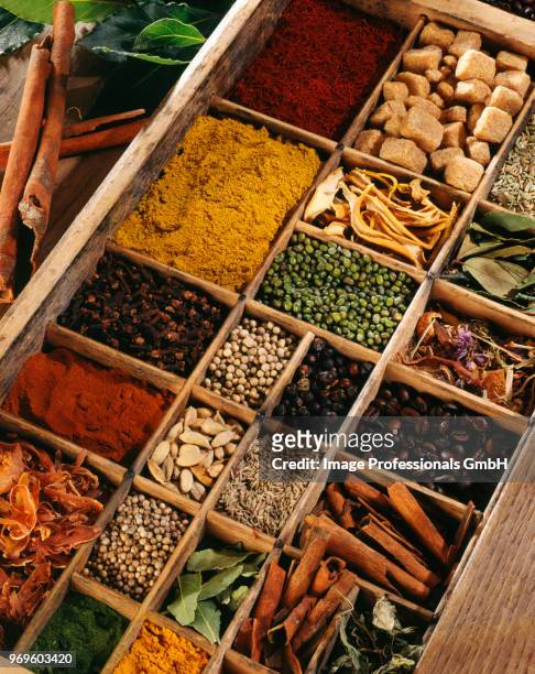 spices in a compartment box - wacholderbeeren stock-fotos und bilder