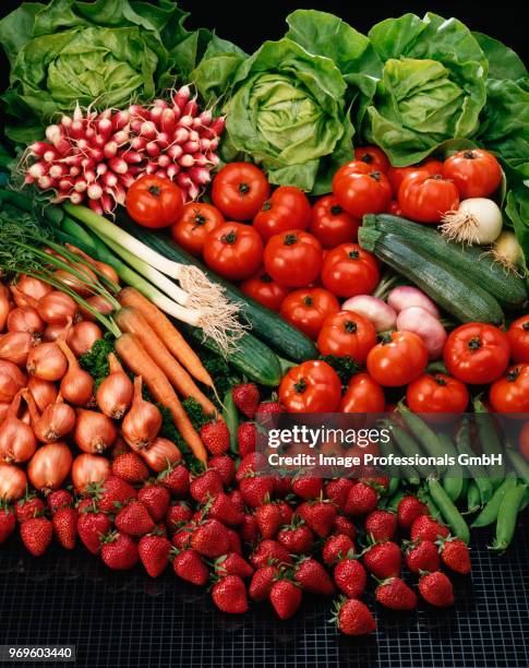 vegetable composition - abondance stock pictures, royalty-free photos & images