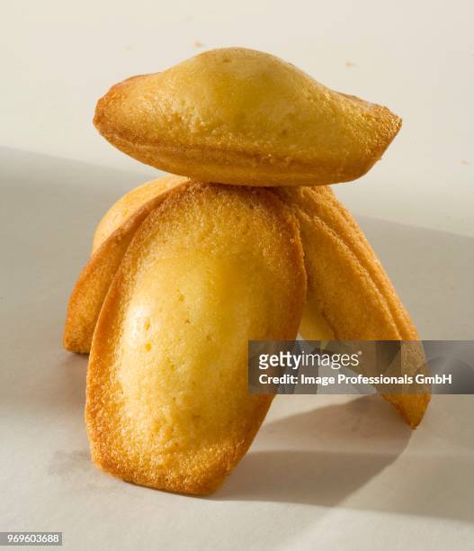 madeleines - madeleine sponge cake stock pictures, royalty-free photos & images