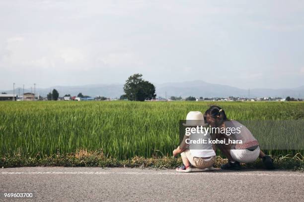 children playing in the rice field - satoyama scenery stock pictures, royalty-free photos & images