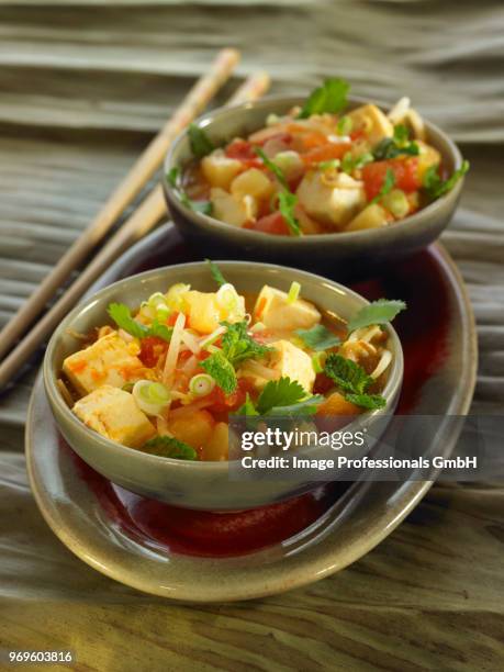 tomato soup with pineapple,tofu,ginger and beansprouts - afrodisíaco fotografías e imágenes de stock