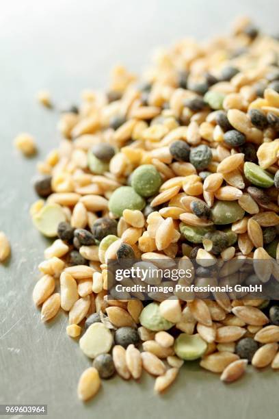 mixed grains - green lentil stock pictures, royalty-free photos & images