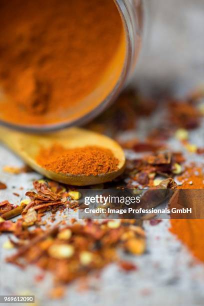 an arrangement of spices with chilli powder and chilli flakes - chilli powder imagens e fotografias de stock