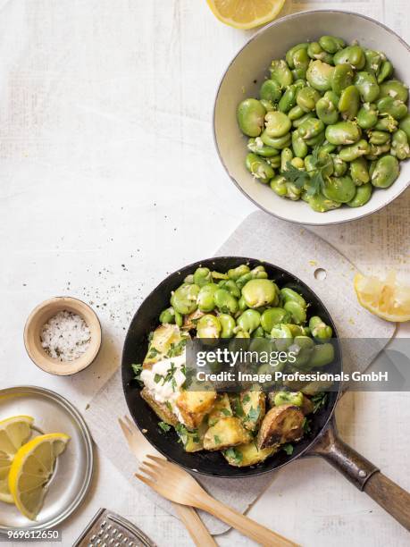 lemon broad beans served with fried potatoes, harissa and parsley - fava bean stock pictures, royalty-free photos & images