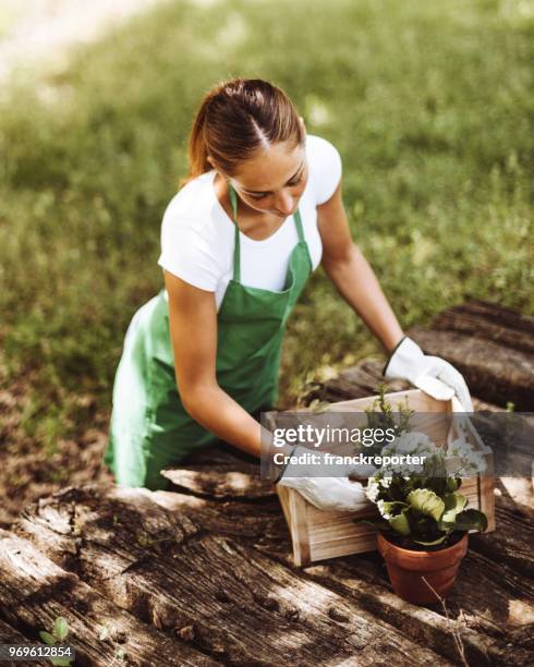 tuinieren is mijn hobbie - hobbie stockfoto's en -beelden