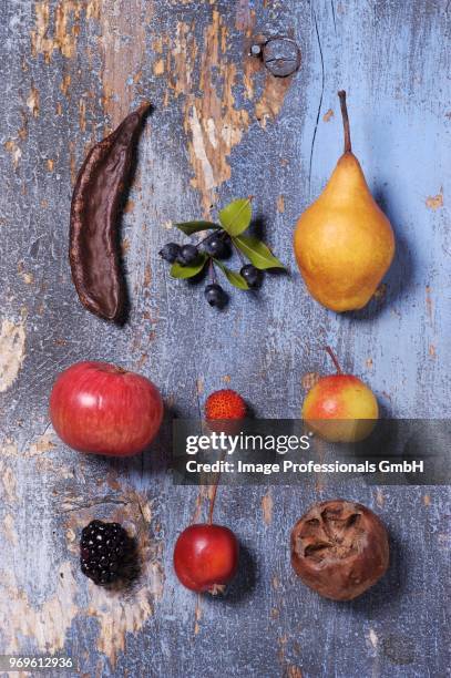 assorted old fruits (seen from above) - acerola stock pictures, royalty-free photos & images