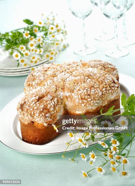 colomba di pasqua (traditional easter dish with pigeon, italy) - colomba pasqua stock-fotos und bilder