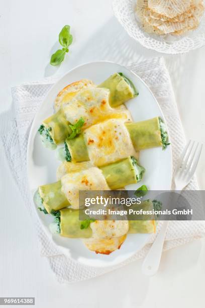 stuffed cannelloni with bechamel sauce melted over the top - cannelloni stock pictures, royalty-free photos & images