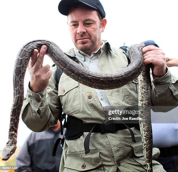 Shawn Heflick, a biologist with the Conservation Rainforest Trust, holds a Burmese Python that was captured during a Florida Fish and Wildlife...