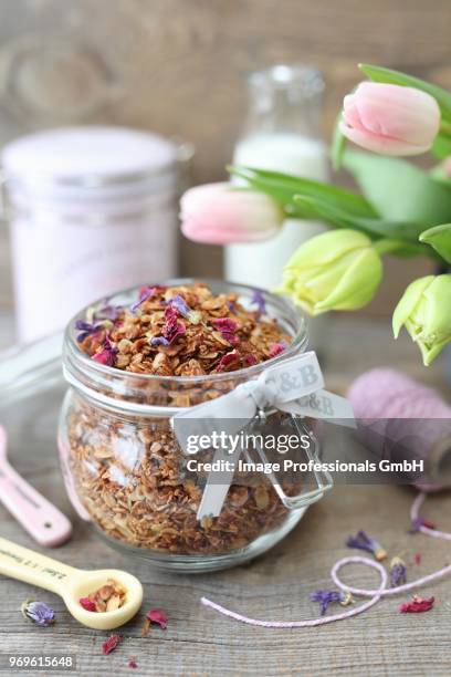 homemade granola with coconut, sunflower and pumpkin seeds in a jar - squash seeds stock-fotos und bilder