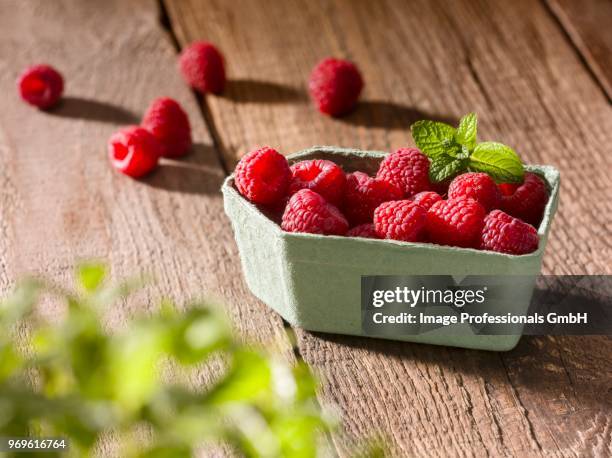 Single Layer Raspberry Punnet Raspberry Punnet Photos and Premium High Res Pictures - Getty Images