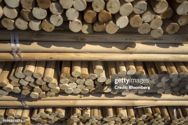 Eucalyptus logs sit stacked at a yard near Liuzhou, Guangxi province, China, on Tuesday, May 23, 2018. China is scheduled to release producer price...