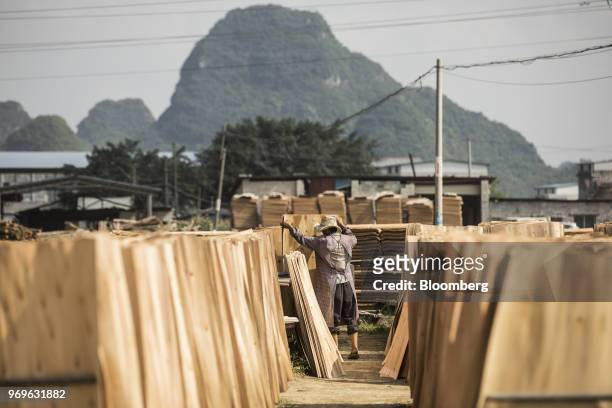 Worker loads a cart with sheets of eucalyptus wood from drying racks at a yard near Liuzhou, Guangxi province, China, on Tuesday, May 23, 2018. China...