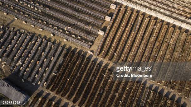 Sheets of eucalyptus wood dry on racks at a yard in this aerial photograph taken near Liuzhou, Guangxi province, China, on Tuesday, May 23, 2018....