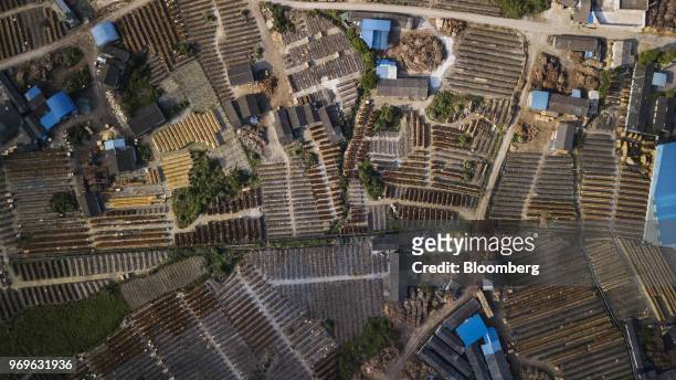 Sheets of eucalyptus wood dry on racks at a yard in this aerial photograph taken near Liuzhou, Guangxi province, China, on Tuesday, May 23, 2018....