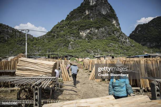 Workers collect sheets of eucalyptus wood from drying racks at a yard near Liuzhou, Guangxi province, China, on Tuesday, May 23, 2018. China is...