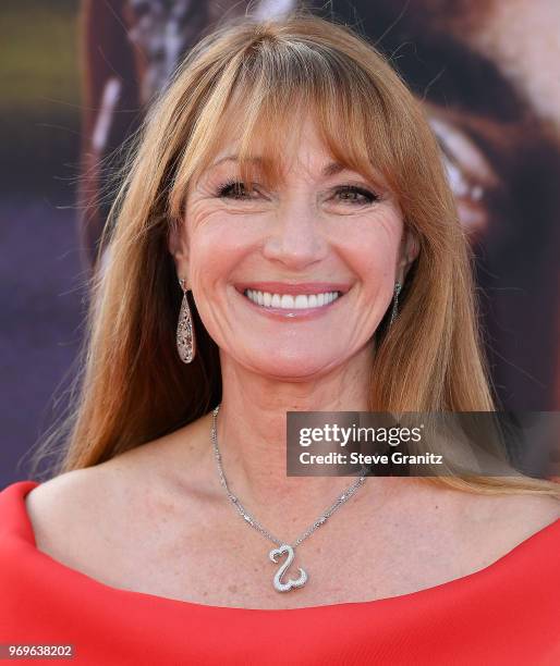 Jane Seymour arrives at the American Film Institute's 46th Life Achievement Award Gala Tribute To George Clooney on June 7, 2018 in Hollywood,...