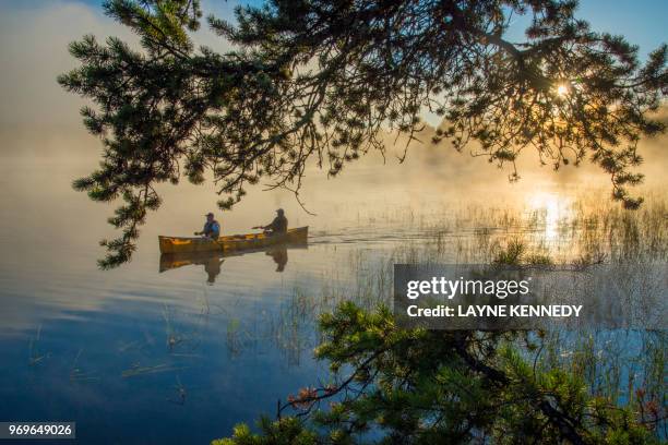 canoeing in minnesota's boundary waters canoe area wilderness (bwca) - boundary waters canoe area stock pictures, royalty-free photos & images