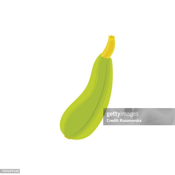 zucchini icon - courgette stock illustrations