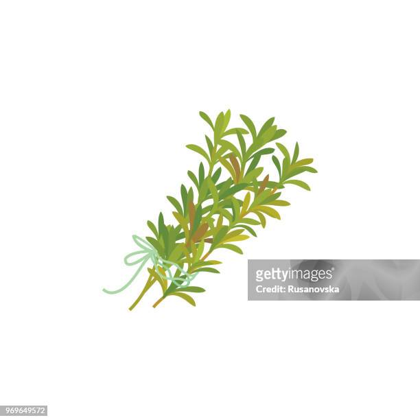 thyme icon - thyme stock illustrations