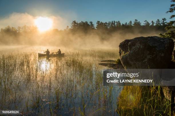 canoeing in minnesota's boundary waters canoe area wilderness (bwca) - boundary waters canoe area stock-fotos und bilder