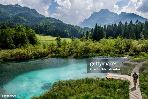 senior-mann von den grünen see zelenci - osteuropa stock-fotos und bilder