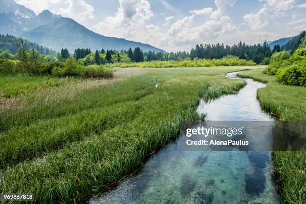 groen water in de alpen - alenapaulus stockfoto's en -beelden