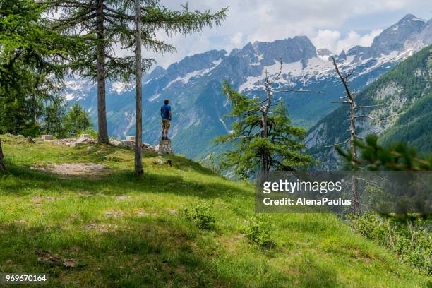 senior bergbeklimmer wandelen in de alpen - alenapaulus stockfoto's en -beelden