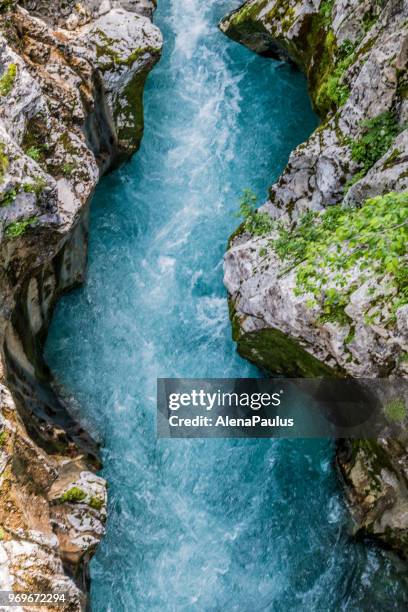 river soca - gola foto e immagini stock