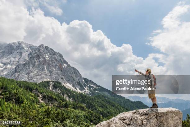 senior bergbeklimmer wandelen in de alpen - alenapaulus stockfoto's en -beelden