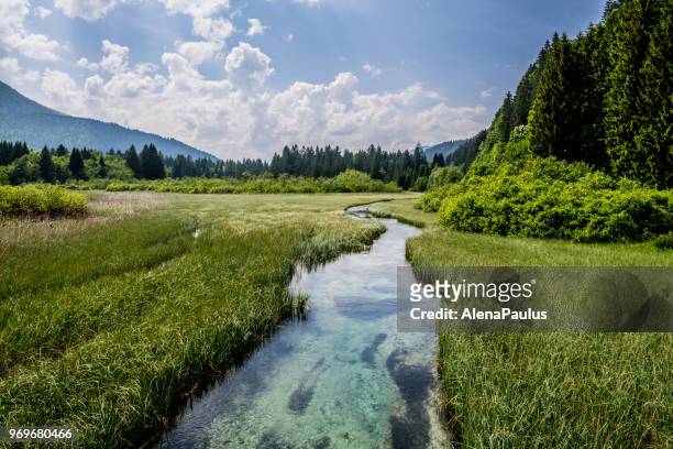 groen water in de alpen - alenapaulus stockfoto's en -beelden