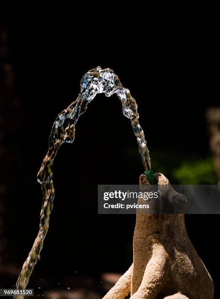 fountain - squirt stockfoto's en -beelden