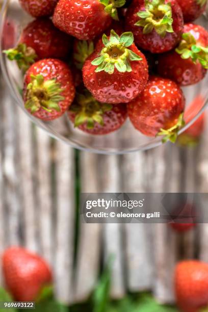 colorful fruit - frutta stock-fotos und bilder