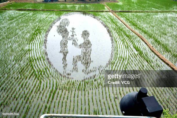 Rice field painting featuring romance is on display at a paddy field at Xinglongtai District on June 7, 2018 in Shenyang, Liaoning Province of China....