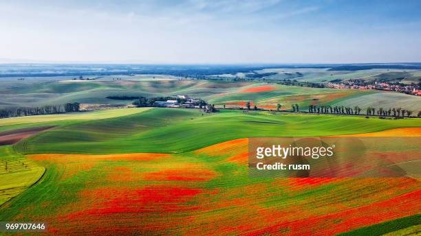 aerial view of poppies on green hills, moravia, czech republic - czech republic stock pictures, royalty-free photos & images