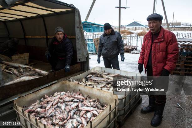 Workers unload fish from a truck at a fish processing facility in Aralsk, Kazakhstan. The Aral Sea, once the fourth-largest lake in the world,...