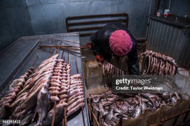 Worker prepares fish to be smoked at a fish processing facility in Aralsk, Kazakhstan. The Aral Sea, once the fourth-largest lake in the world,...