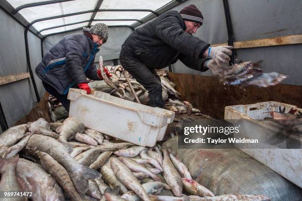 Fish Load Fish Loads Photos and Premium High Res Pictures - Getty Images