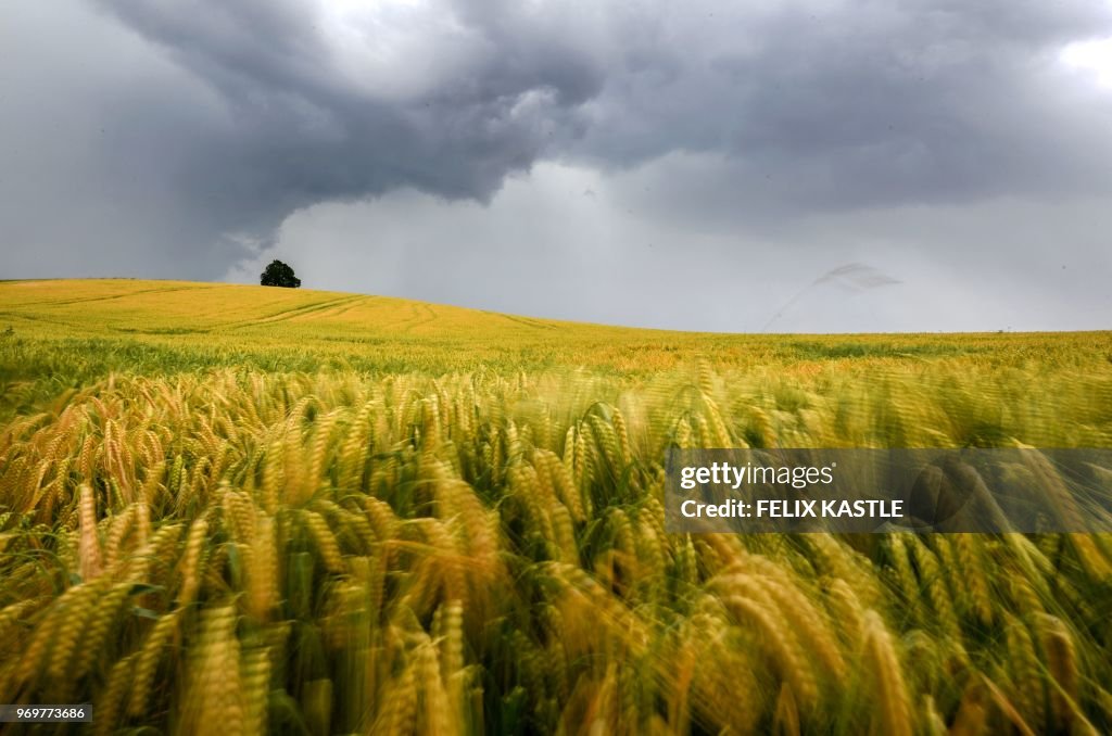 TOPSHOT-GERMANY-WEATHER-AGRICULTURE